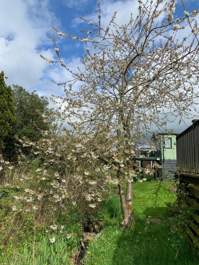 Delightful 3 Bedroom Holiday Home With Balcony Overlooking Fields And A Stream Gisburn Exterior photo